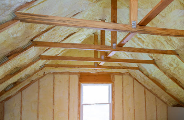 Best Affordable Insulation Services  in Kaufman, TX