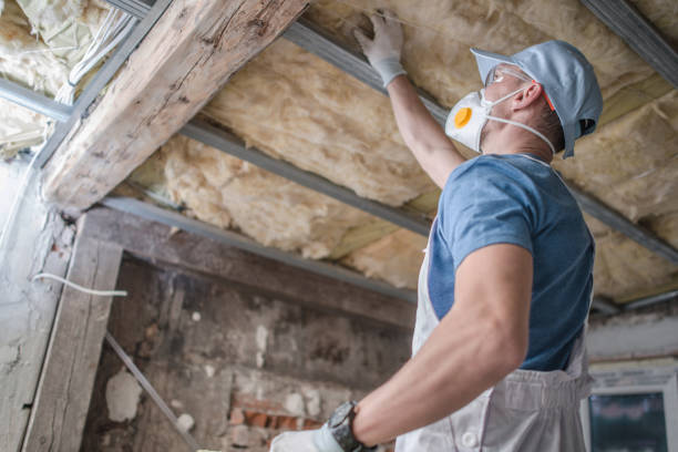 Best Professional Insulation Contractor  in Kaufman, TX