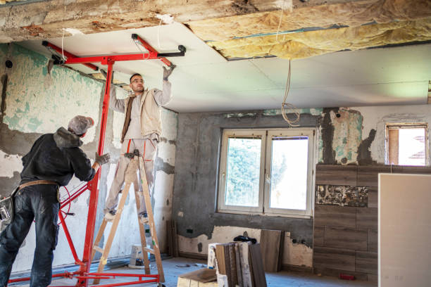 Best Blown-in Insulation  in Kaufman, TX