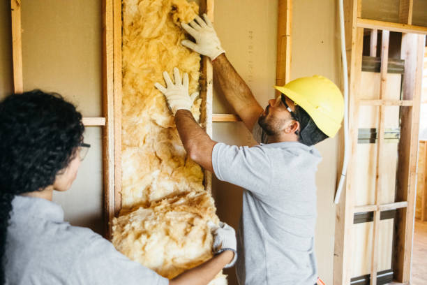 Best Residential Insulation Services  in Kaufman, TX