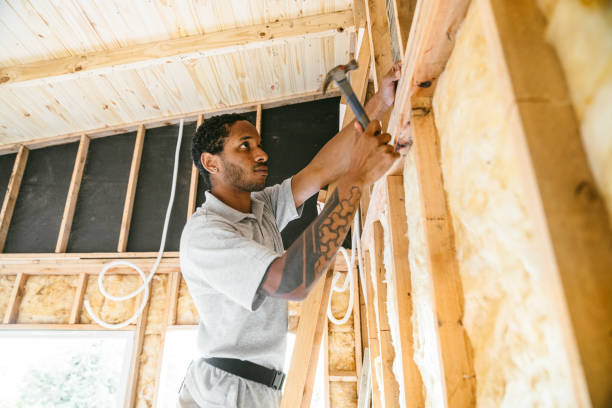 Best Attic Insulation Installation  in Kaufman, TX