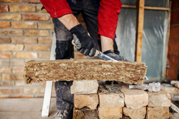 Best Local Insulation Services  in Kaufman, TX