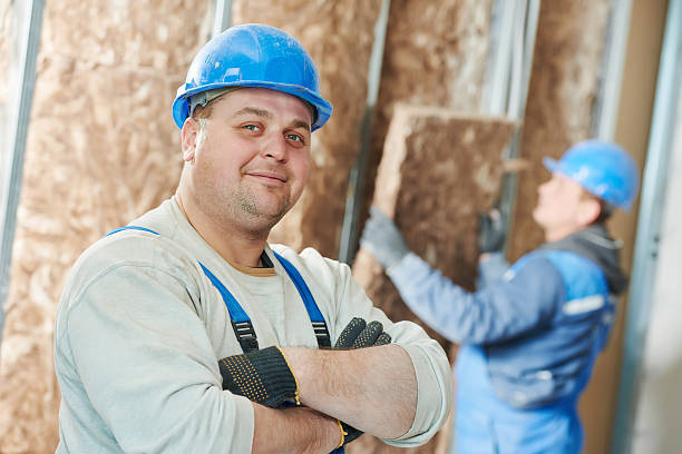Best Insulation Inspection Services  in Kaufman, TX