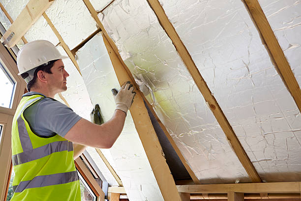 Best Cellulose Insulation  in Kaufman, TX