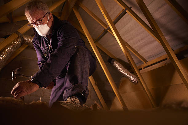 Best Spray Foam Insulation  in Kaufman, TX
