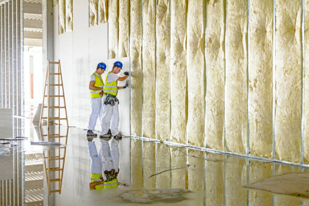 Best Wall Insulation Contractor  in Kaufman, TX